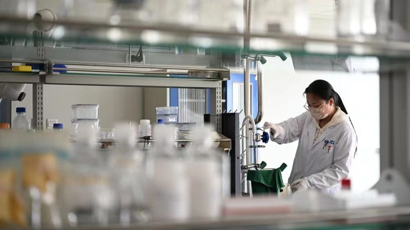 医药招商代理行业深度解析：揭秘十大品牌背后的秘密