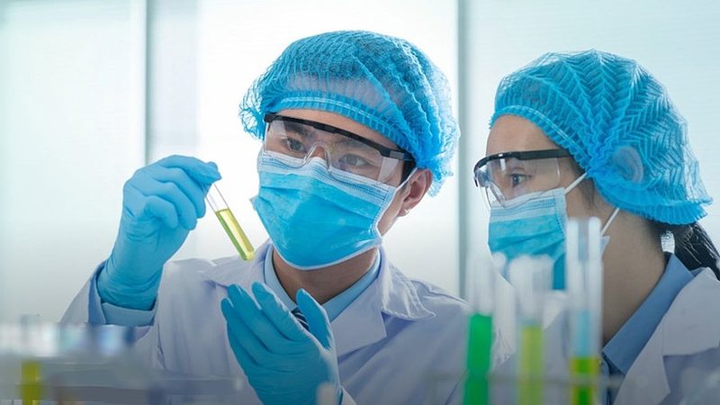 水提法与醇提法：提取时间的奥秘对比