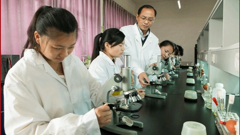 医药流通企业合规检查怎么做