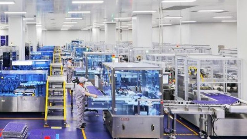 中药材出口报关代理，价格与报价解析